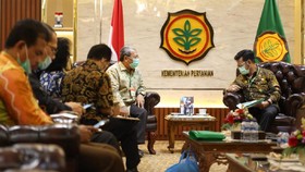 Dekopi Kolaborasi dengan Kementan Kembangkan Kopi Lokal