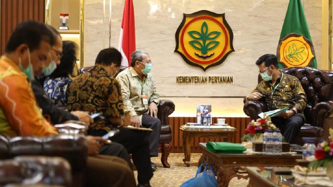Dekopi menjajaki kerja sama dengan Kementerian Pertanian dalam memajukan kopi lokal dan menyejahterakan petani.