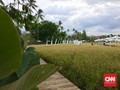 SvargaBumi, Sawah Fotogenik di 'Seberang' Candi Borobudur