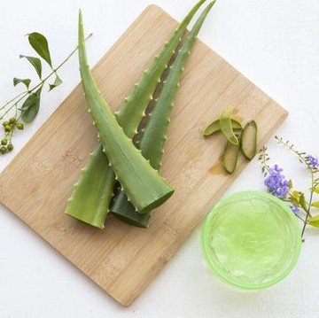 Seberapa Ampuh Aloe Vera Mengatasi Sunburn?