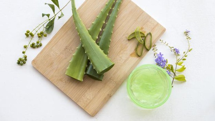 Seberapa Ampuh Aloe Vera Mengatasi Sunburn?
