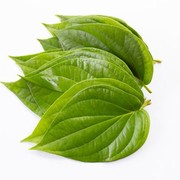 Manfaat Air Daun Sirih untuk Kesehatan Mata