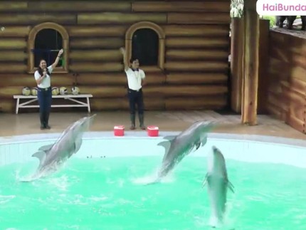 Selamat! Ini 11 Pemenang Keseruan Bermain dan Wisata Virtual Bareng HaiBunda