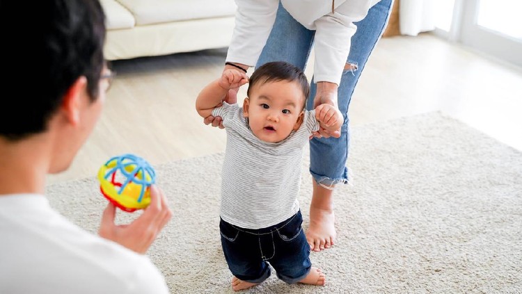 bayi belajar jalan Asian baby boy toddler taking first steps. Family of father and mother encouraging their son learning to walk at home