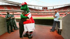 Gara-gara Corona, Arsenal Kehilangan Maskot Setia