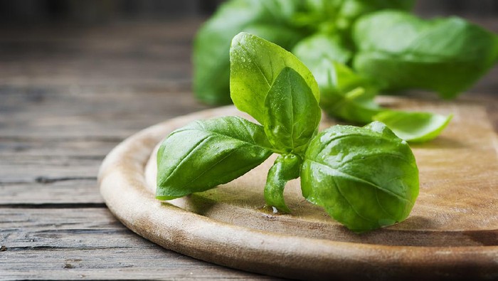 Fresh green basil on the wooden table, selective focus