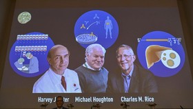 Temukan Virus Hepatitis C, 3 Ahli Raih Nobel Kedokteran