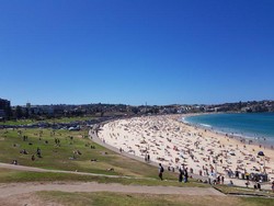 Sydney Lagi Hot, Panasnya Bisa Mencapai 40 Derajat Celcius