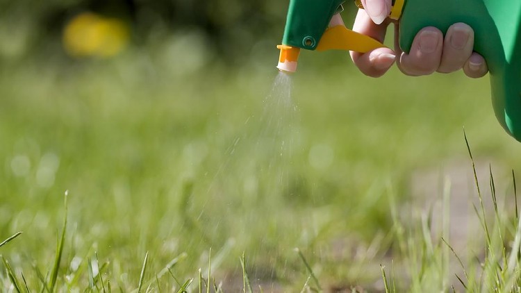 Spraying grass with a green and yellow atomizer in the garden.