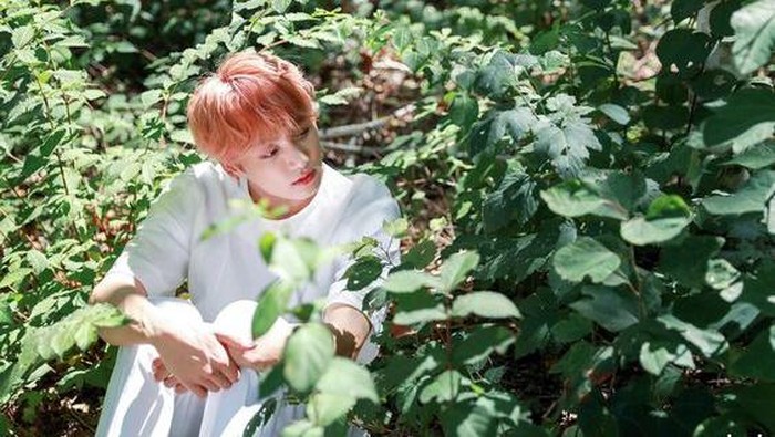 Tidak Masuk Akal! Alasan Teraneh yang Pernah Idol Kpop Buat Untuk Meminta Maaf