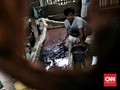FOTO: Asa Peternak Cacing Sutra Tangerang di Tengah Pandemi