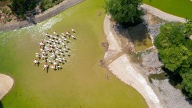 Dubai 'Sulap' Tempat Pembuangan Sampah Jadi Taman Safari