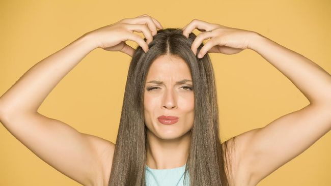 Stop scratching yourself, here are 7 natural ingredients to treat itchy scalp