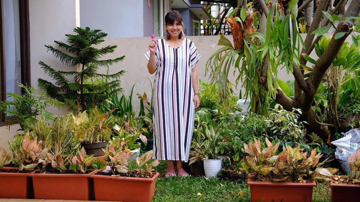 Seleb Koleksi Tanaman