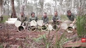 VIDEO: Sembuh dari Kanker, Tasmania Devil Dilepas Liarkan
