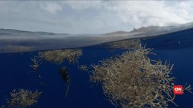 VIDEO: Jutaan Ton Mikroplastik Diperkirakan Ada di Dasar Laut