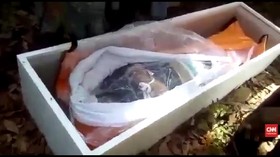 VIDEO: Warga Nekat Buka Peti Jenazah Covid-19