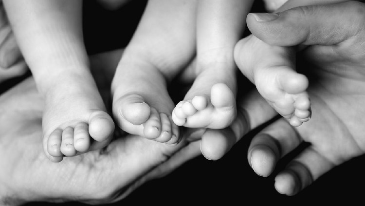 Little Baby Twins Feet in parents hands. Parenthood, family, twins, children and love concept.