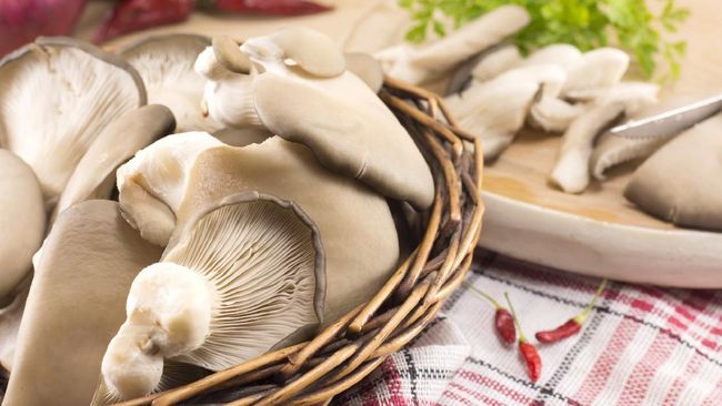 Selain sering digunakan sebagai bahan makanan, jamur tiram ternyata memiliki manfaat yang baik untuk kesehatan. Berikut manfaat jamur tiram.