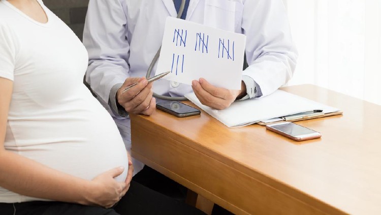 Pregnant woman counting weekly by doctor