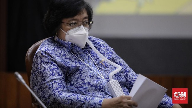 Greenpeace Indonesia menuding Menteri LHK Siti Nurbaya melanggar aturan dalam pelepasan izin kawasan hutan untuk konsesi sawit di wilayah Papua dan Papua Barat.