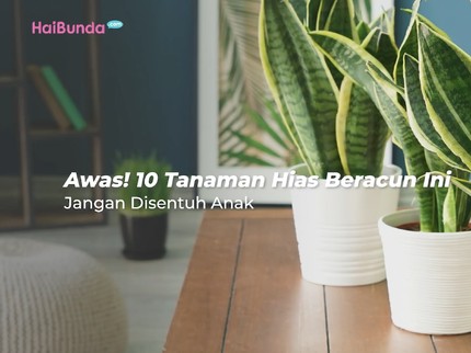 Awas! 10 Tanaman Hias Beracun Ini Jangan Disentuh Anak