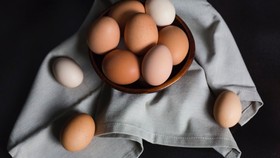 Tentang Perayaan Hari Telur Sedunia yang Belum Anda Ketahui