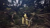 FOTO: Badai Delta Terjang Meksiko Badai delta diaporkan melesat ke arah Semenanjung Yucatan di Meksiko dengan kecepatan angin 120mph dan sampai di selatan kota Cancun pada Rabu (7/10).