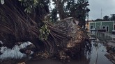 FOTO: Badai Delta Terjang Meksiko Badai delta diaporkan melesat ke arah Semenanjung Yucatan di Meksiko dengan kecepatan angin 120mph dan sampai di selatan kota Cancun pada Rabu (7/10).