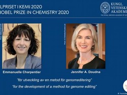 Dua Ilmuwan Perempuan Penemu Gunting Genetika Dianugerahi Nobel Kimia 2020