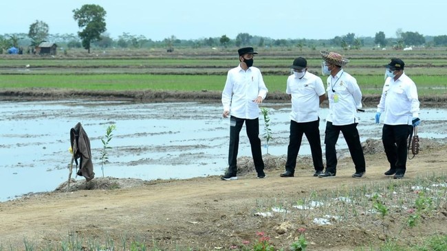 Presiden Jokowi juga dijadwalkan sertifikat hak tanah kepada masyarakat di Stadion Simangaronsang, Kecamatan Doloksanggul.