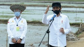 Bangun Food Estate, Jokowi Minta Pemda Percepat Perizinan