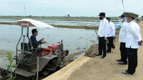 Pakar Ingatkan Risiko Kerusakan Lingkungan dari Food Estate