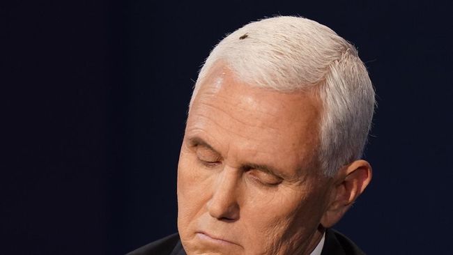 Lalat yang hinggap di kepala Mike Pence saat debat dijadikan lelucon oleh netizen dan dianggap sebagai aksi penyamaran Ant-Man.