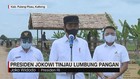 VIDEO: Presiden Jokowi Tinjau Lumbung Pangan di Kalteng