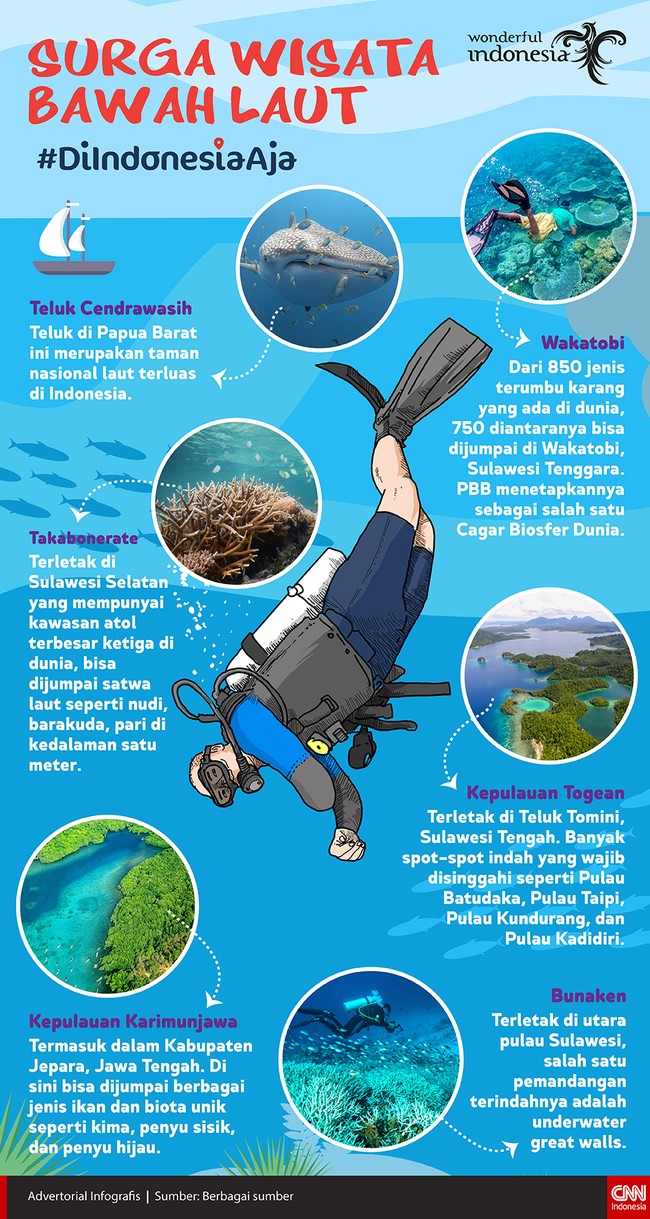 Sebagai negara maritim, Indonesia terkenal sebagai negara yang kaya dengan wisata bawah laut.