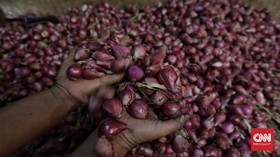 Harga Bawang Merah Melejit di Awal Pekan