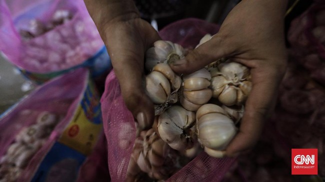 Sebagian besar impor bawang putih RI berasal dari China dengan rata-rata 507 ribu ton per tahun.