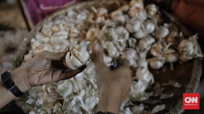 Kepala Bapanas Arief Prasetyo Adi memprediksi harga bawang putih akan turun menjadi di bawah Rp36 ribu per kilogram dalam satu hingga dua bulan mendatang.