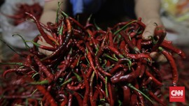 Cabai Merah Jadi Pangan dengan Margin Dagang Tertinggi