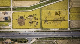 FOTO: Salam 'Hwaiting!' dari Orang-orangan Sawah di Korea
