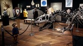 FOTO: Fosil Allosaurus Dilelang di Paris, Ditaksir Rp20 M Allosaurus bisa disebut sebagai kadal raksasa, namun dengan struktur tulang belakang yang cukup unik. Fosil ini dilelang pada 13 Oktober waktu setempat.