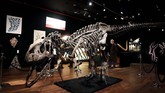 FOTO: Fosil Allosaurus Dilelang di Paris, Ditaksir Rp20 M Allosaurus bisa disebut sebagai kadal raksasa, namun dengan struktur tulang belakang yang cukup unik. Fosil ini dilelang pada 13 Oktober waktu setempat.