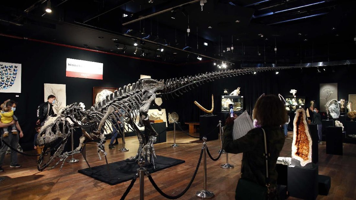 FOTO: Fosil Allosaurus Dilelang di Paris, Ditaksir Rp20 M