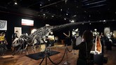 FOTO: Fosil Allosaurus Dilelang di Paris, Ditaksir Rp20 M Allosaurus bisa disebut sebagai kadal raksasa, namun dengan struktur tulang belakang yang cukup unik. Fosil ini dilelang pada 13 Oktober waktu setempat.
