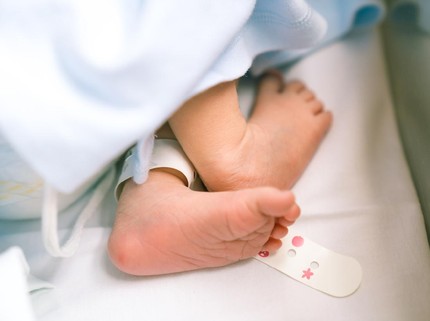 Asal Usul Tradisi Aqiqah untuk Bayi Baru Lahir