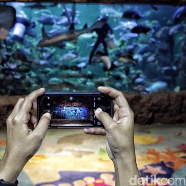 Cara Rekreasi Aman dengan Tetap Jaga Jarak