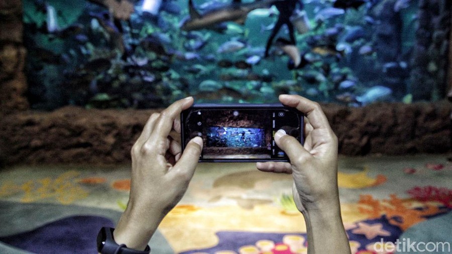 Gubernur DKI Jakarta Anies Baswedan menerapkan PSBB transisi. Tempat wisata pun dibuka kembali, salah satunya Sea World Ancol.