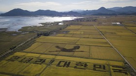 Orang-orangan Sawah Bertema Corona di Korea Selatan