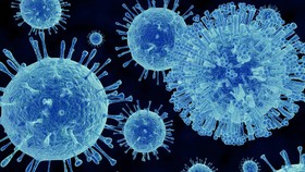 Norovirus Serang China hingga Anwar Ibrahim Dipanggil Polisi